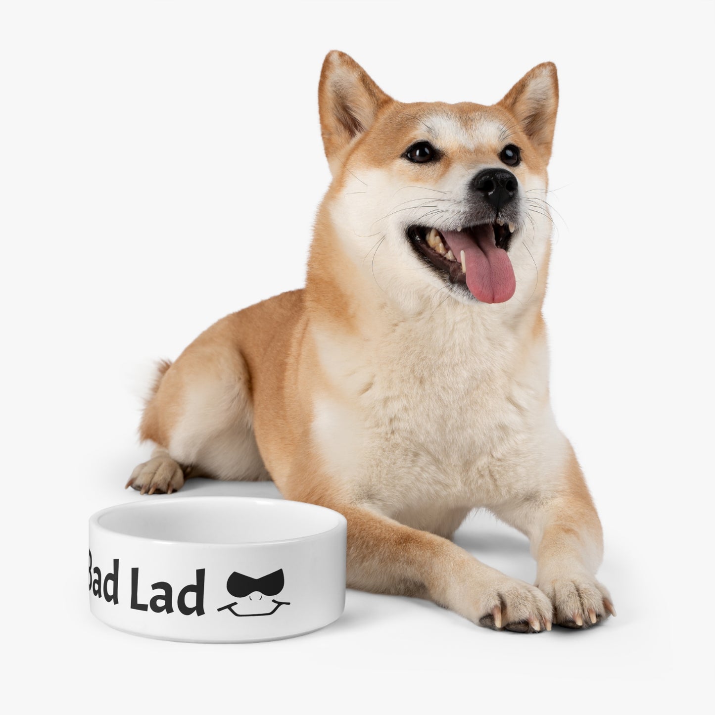 Bad Lad Pet Bowl
