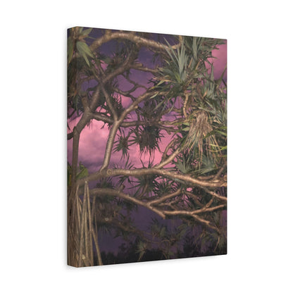 Nature Photography Canvas - Pandanas Tree