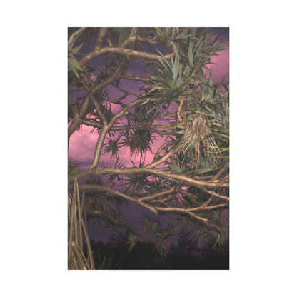 Nature Photography Canvas - Pandanas Tree