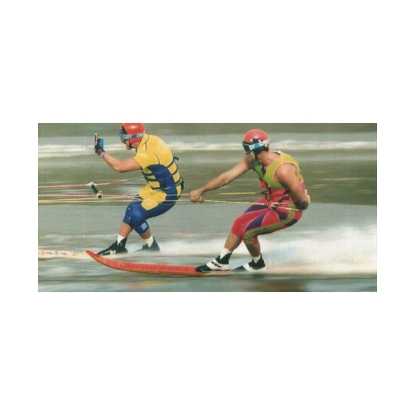The Bird Water Skiing Canvas Wall Art