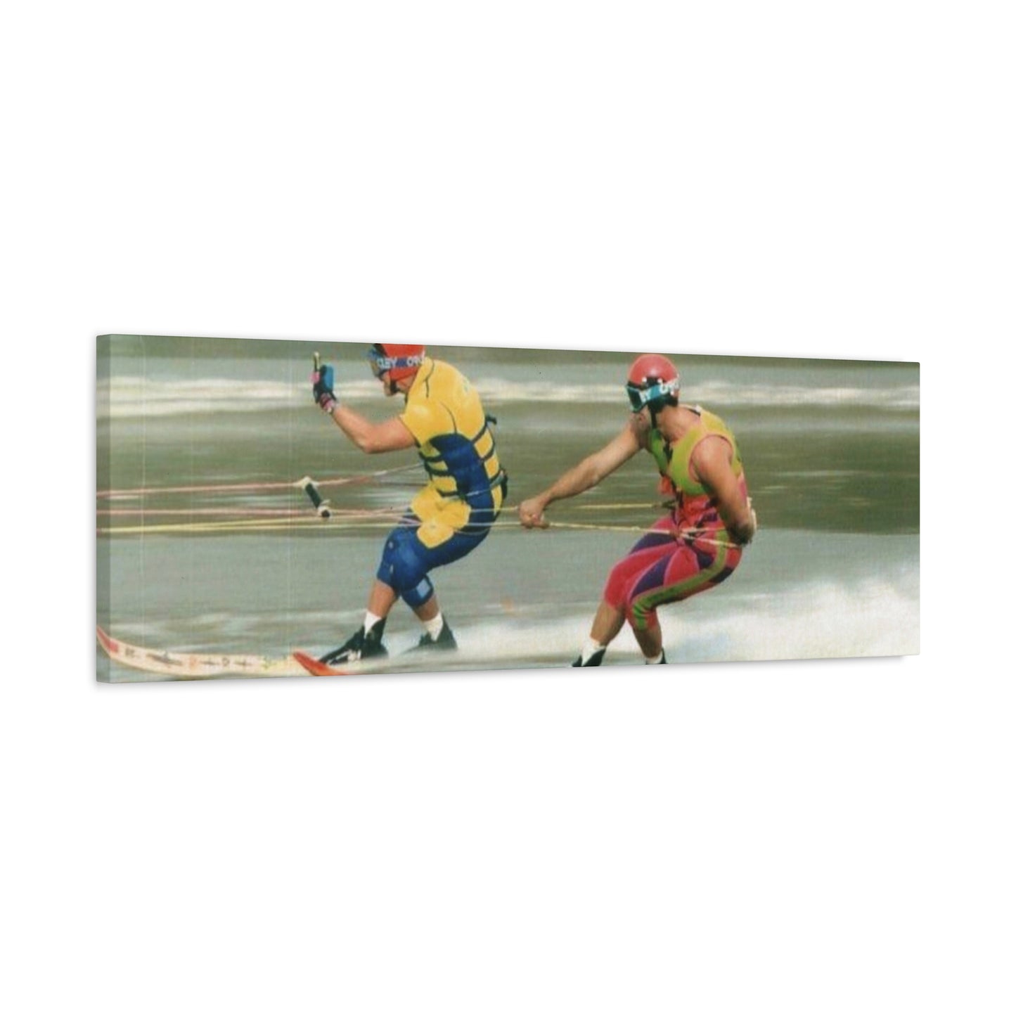 The Bird Water Skiing Canvas Wall Art