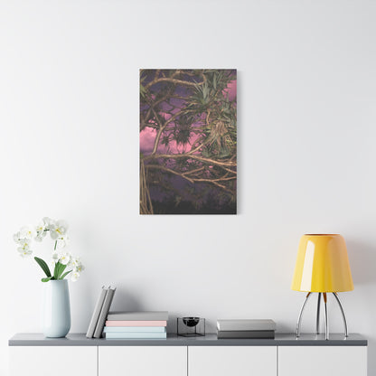 Nature Photography Canvas - Pandanas Tree