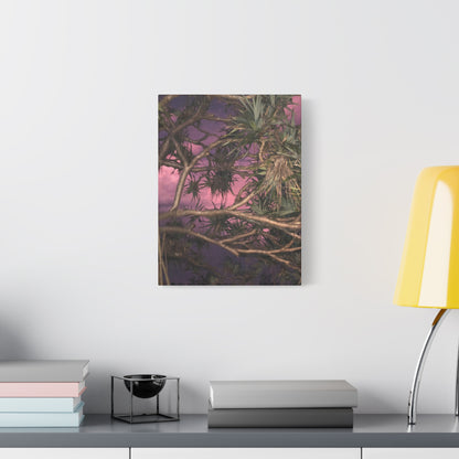Nature Photography Canvas - Pandanas Tree