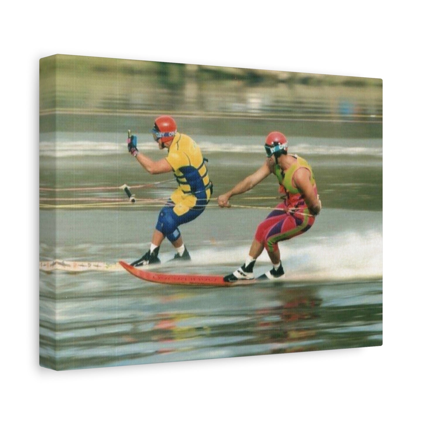 The Bird Water Skiing Canvas Wall Art