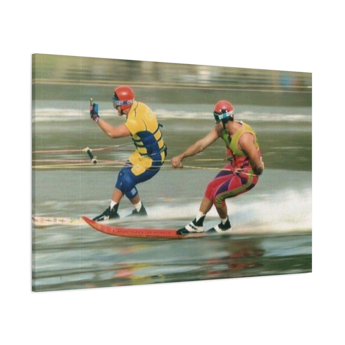 The Bird Water Skiing Canvas Wall Art