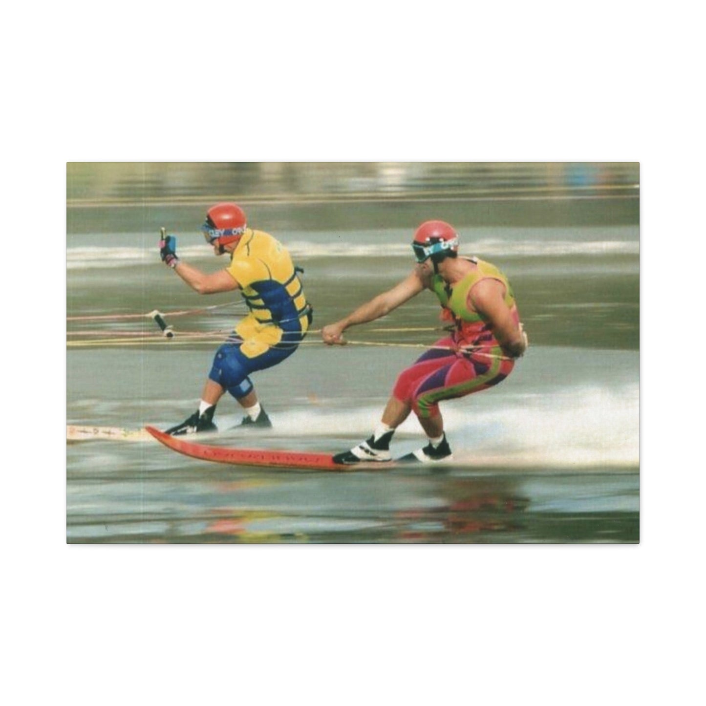 The Bird Water Skiing Canvas Wall Art