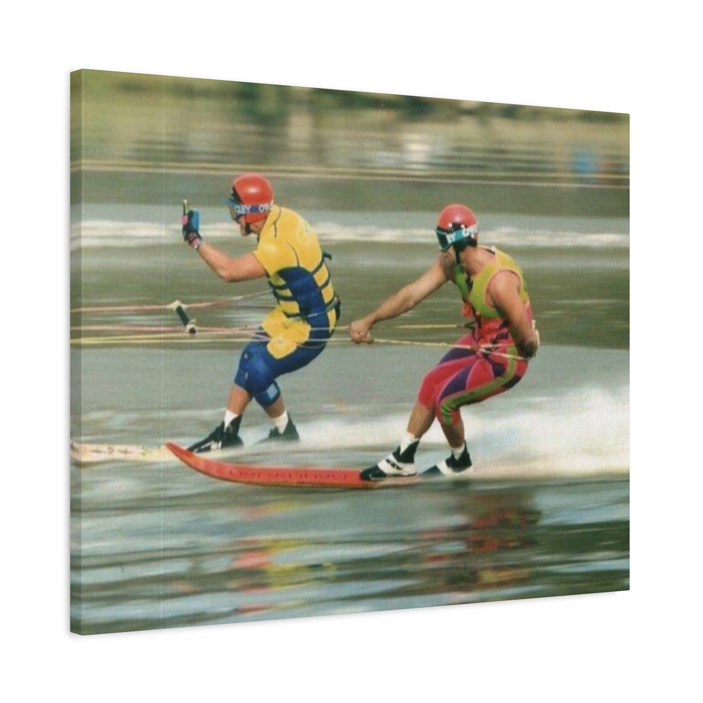 The Bird Water Skiing Canvas Wall Art