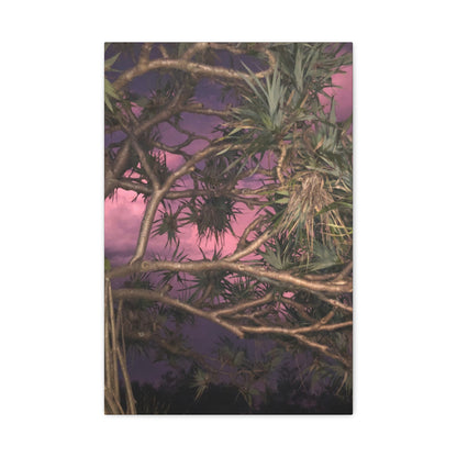 Nature Photography Canvas - Pandanas Tree