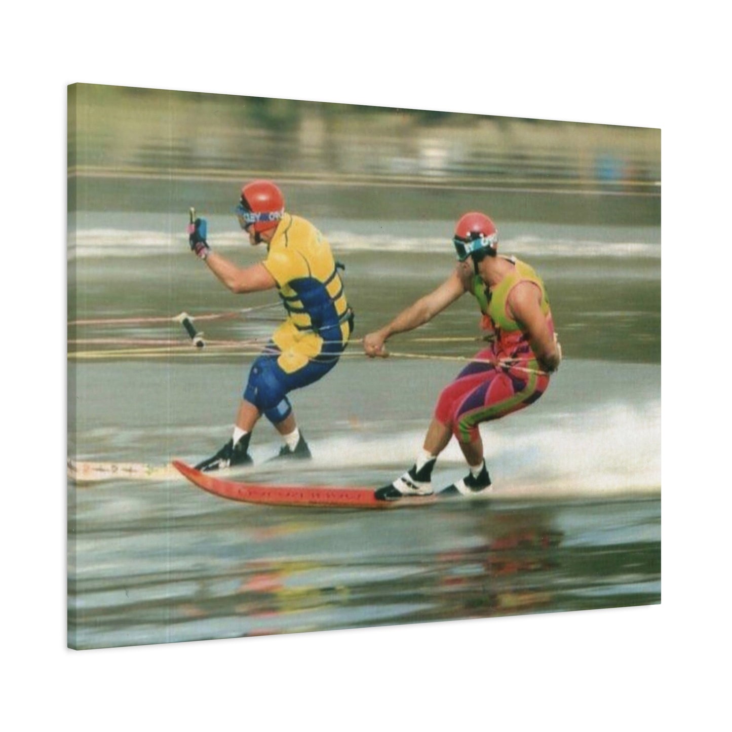 The Bird Water Skiing Canvas Wall Art