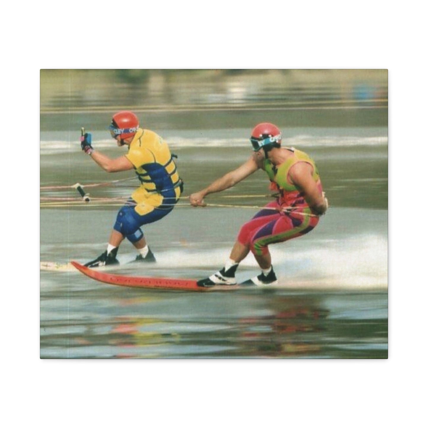 The Bird Water Skiing Canvas Wall Art