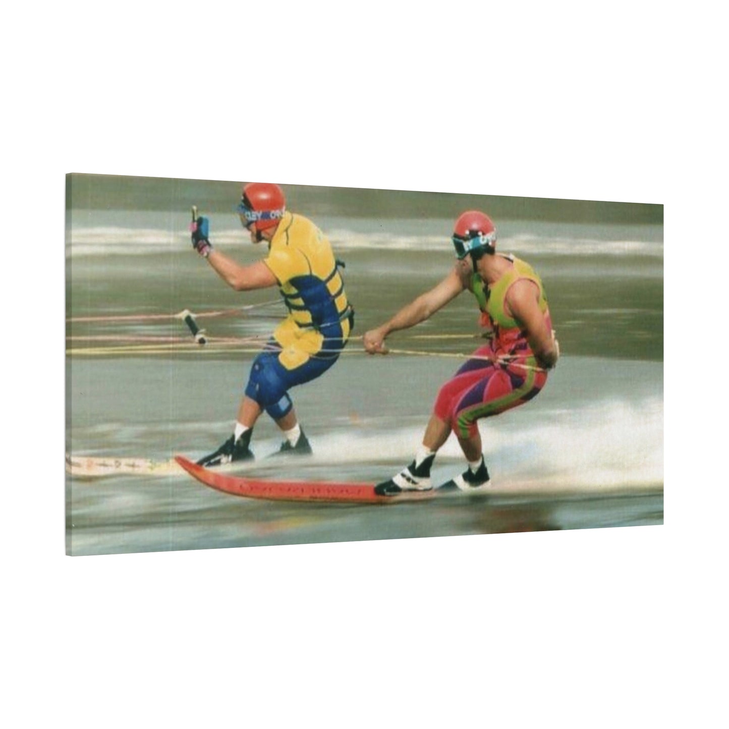 The Bird Water Skiing Canvas Wall Art