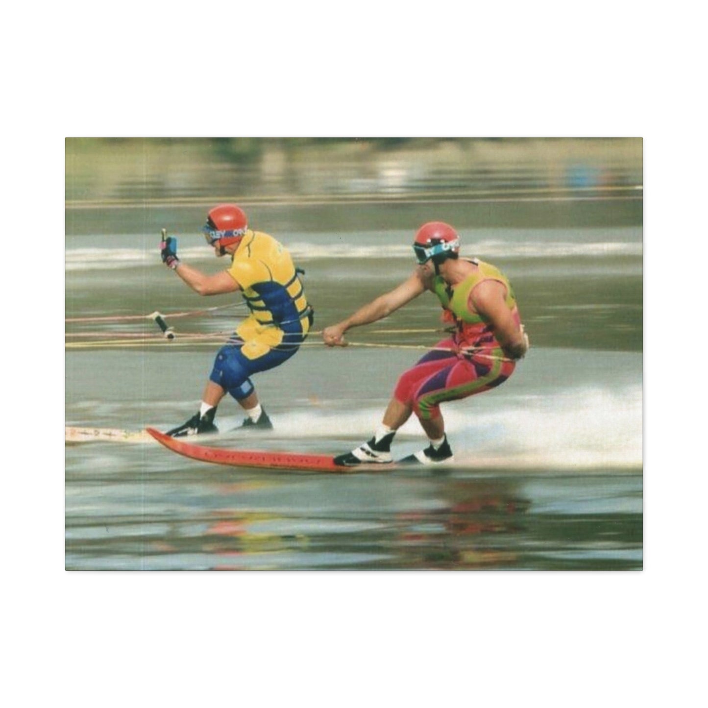 The Bird Water Skiing Canvas Wall Art