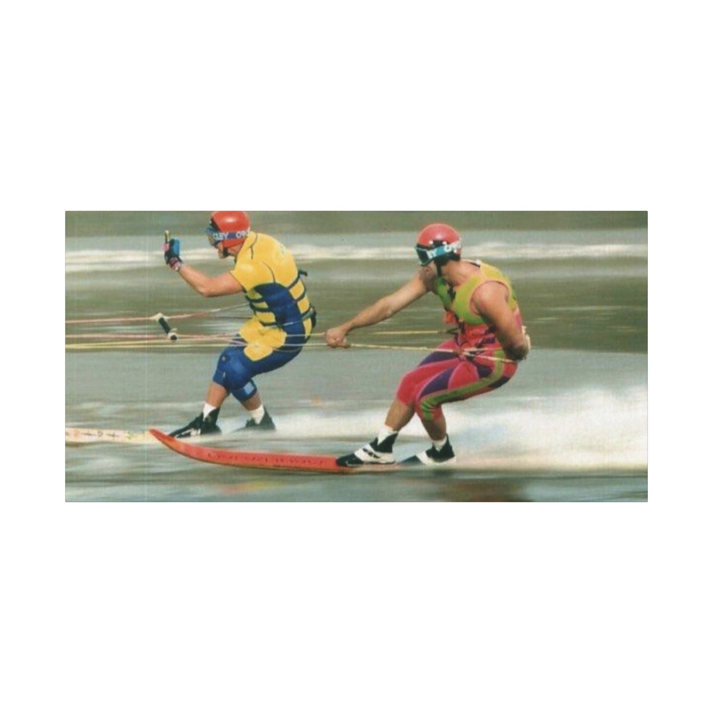 The Bird Water Skiing Canvas Wall Art