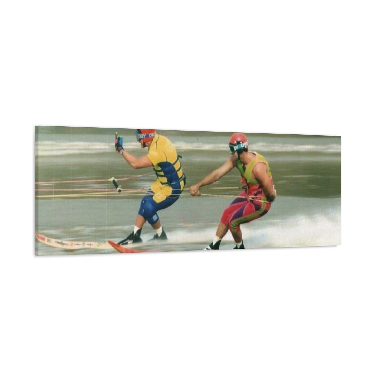 The Bird Water Skiing Canvas Wall Art