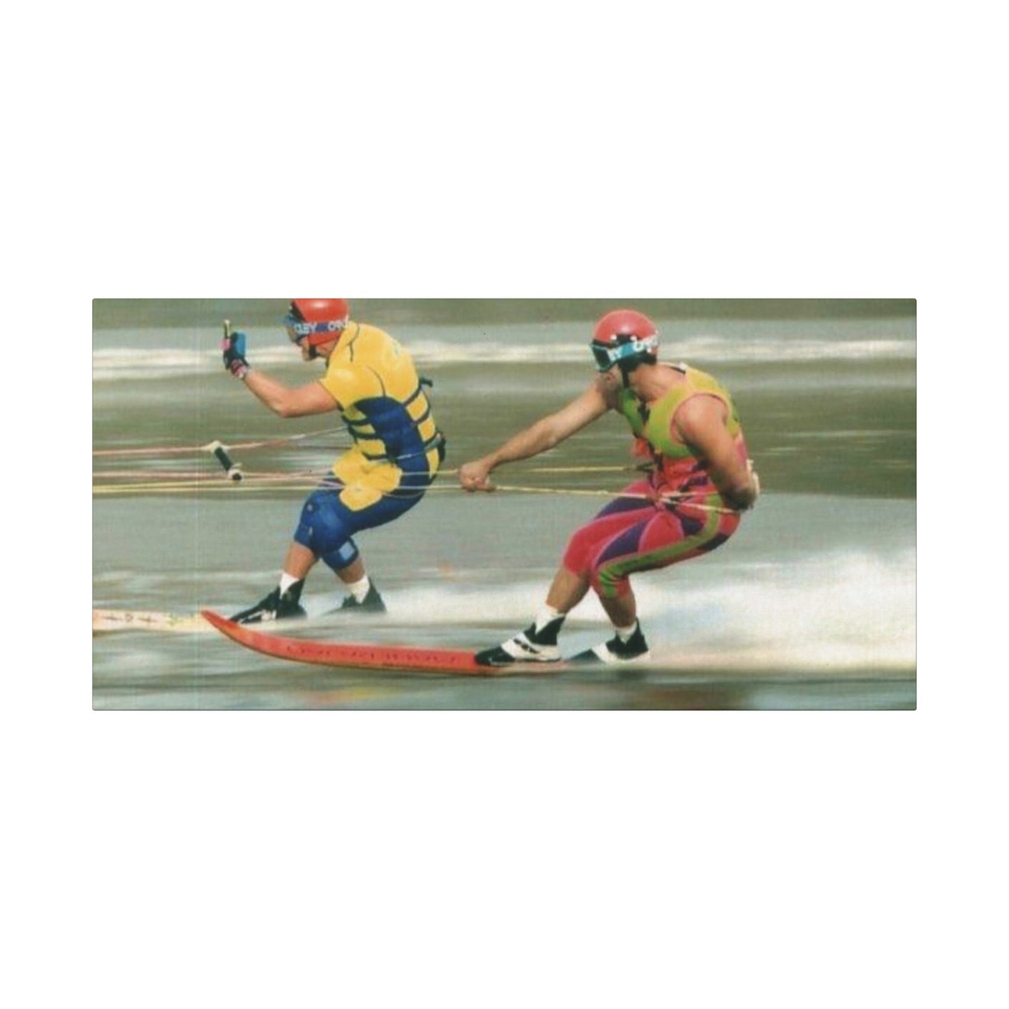 The Bird Water Skiing Canvas Wall Art