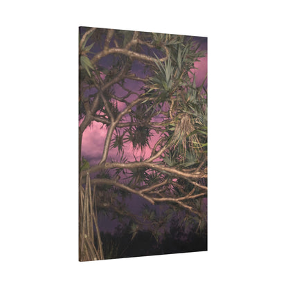 Nature Photography Canvas - Pandanas Tree