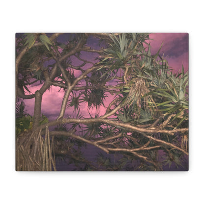 Nature Photography Canvas - Pandanas Tree