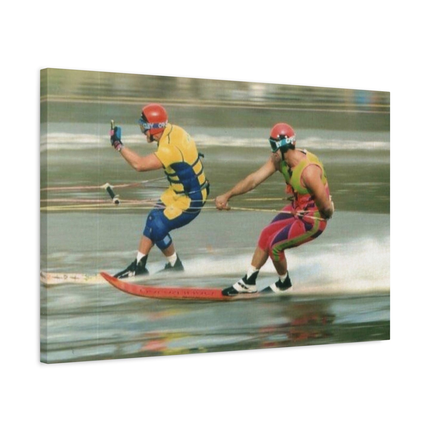 The Bird Water Skiing Canvas Wall Art