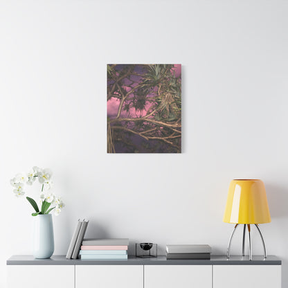 Nature Photography Canvas - Pandanas Tree