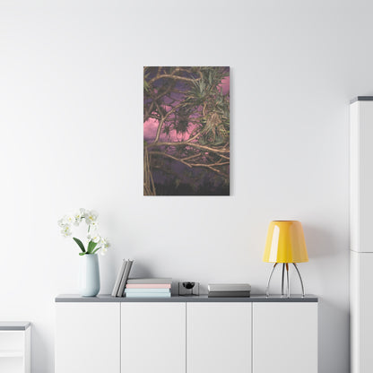 Nature Photography Canvas - Pandanas Tree