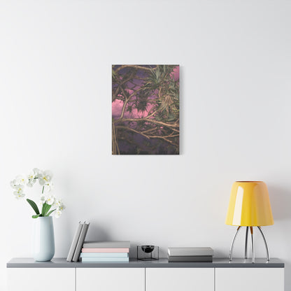Nature Photography Canvas - Pandanas Tree