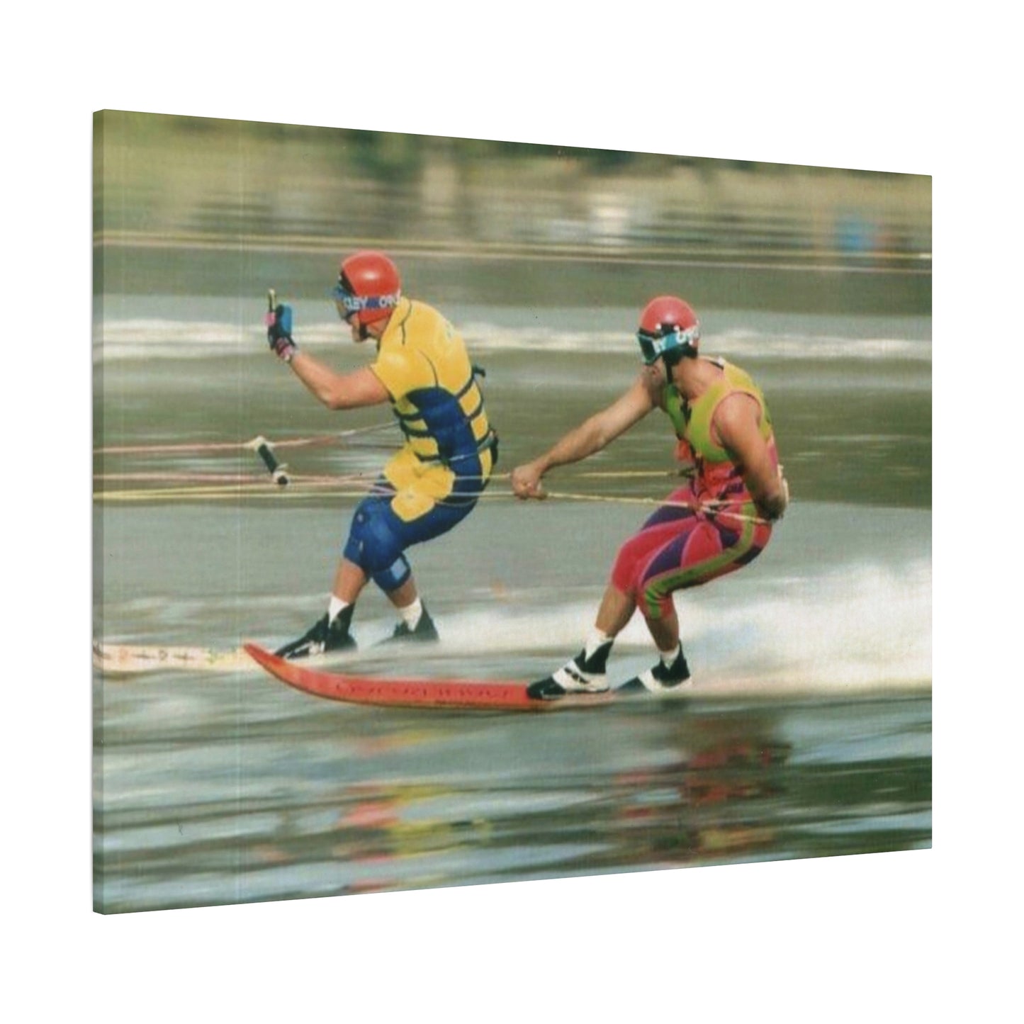 The Bird Water Skiing Canvas Wall Art