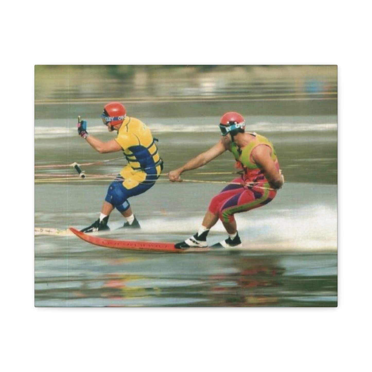 The Bird Water Skiing Canvas Wall Art