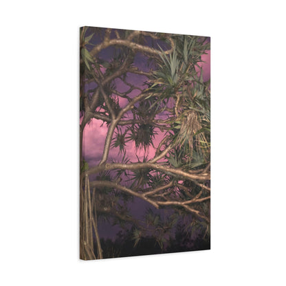 Nature Photography Canvas - Pandanas Tree