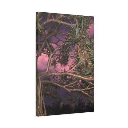 Nature Photography Canvas - Pandanas Tree