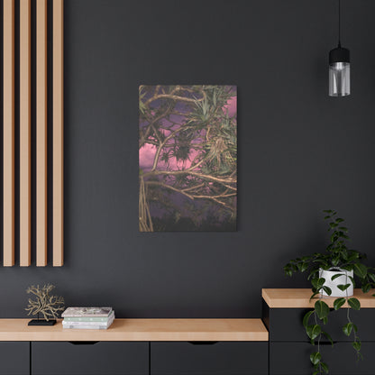 Nature Photography Canvas - Pandanas Tree