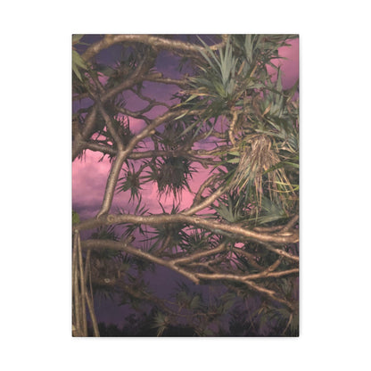 Nature Photography Canvas - Pandanas Tree