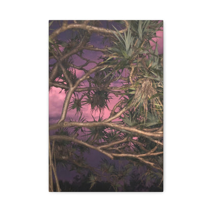 Nature Photography Canvas - Pandanas Tree