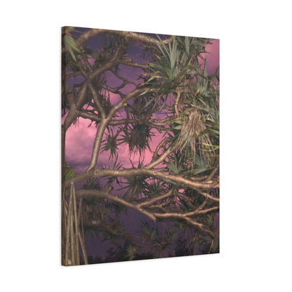 Nature Photography Canvas - Pandanas Tree