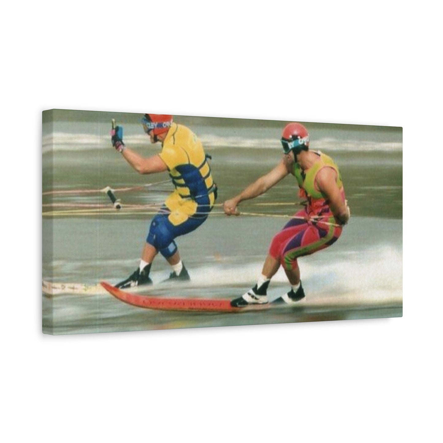 The Bird Water Skiing Canvas Wall Art