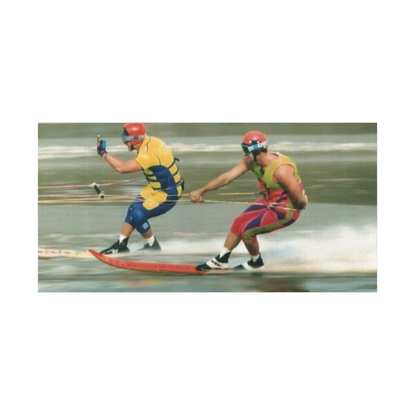 The Bird Water Skiing Canvas Wall Art