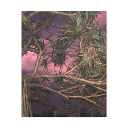 Nature Photography Canvas - Pandanas Tree
