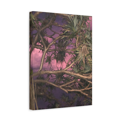 Nature Photography Canvas - Pandanas Tree