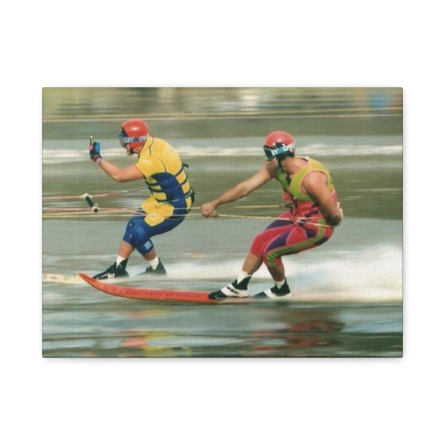 The Bird Water Skiing Canvas Wall Art