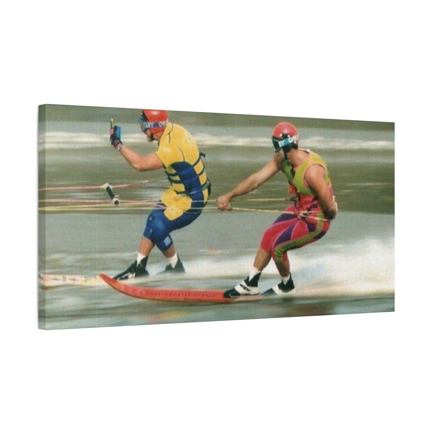 The Bird Water Skiing Canvas Wall Art