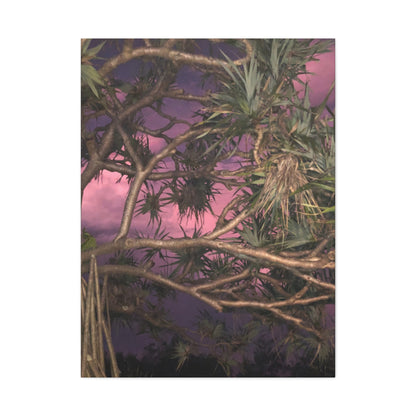 Nature Photography Canvas - Pandanas Tree