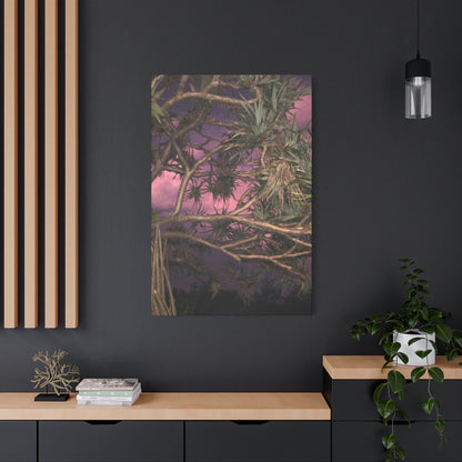 Nature Photography Canvas - Pandanas Tree