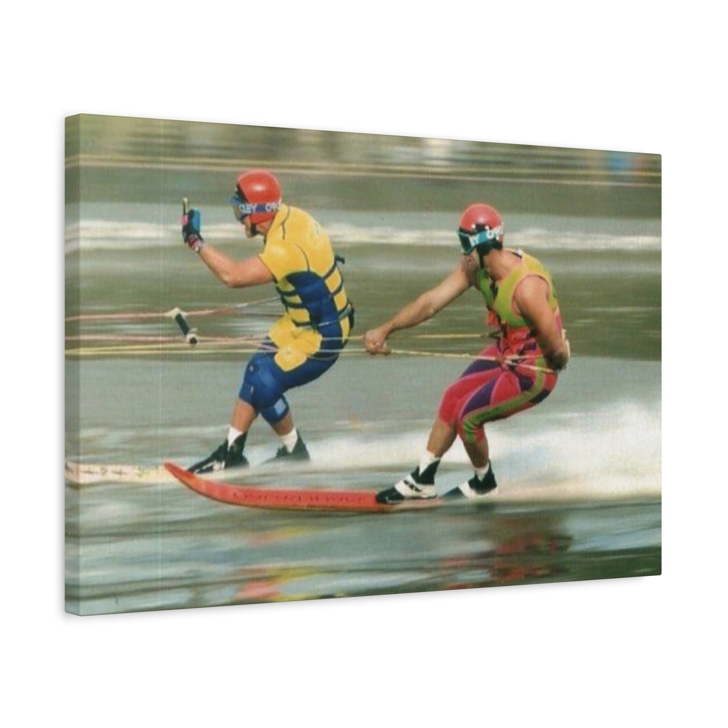 The Bird Water Skiing Canvas Wall Art
