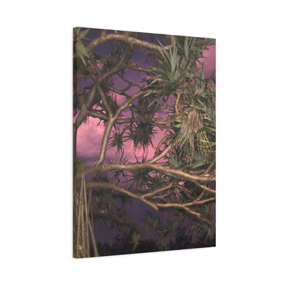 Nature Photography Canvas - Pandanas Tree