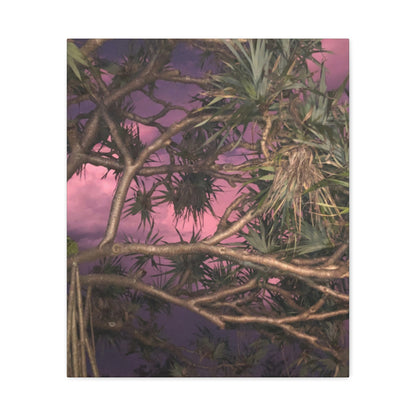 Nature Photography Canvas - Pandanas Tree