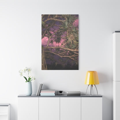Nature Photography Canvas - Pandanas Tree
