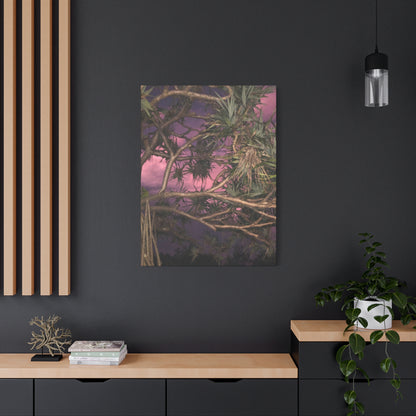 Nature Photography Canvas - Pandanas Tree