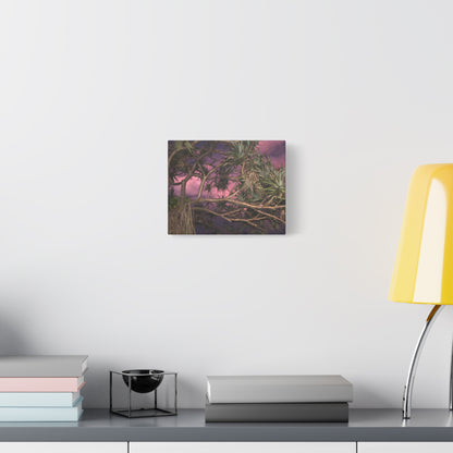 Nature Photography Canvas - Pandanas Tree