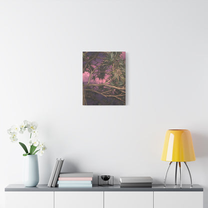 Nature Photography Canvas - Pandanas Tree