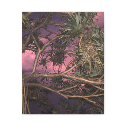 Nature Photography Canvas - Pandanas Tree