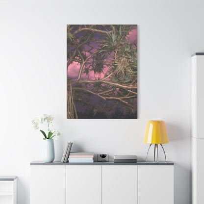 Nature Photography Canvas - Pandanas Tree